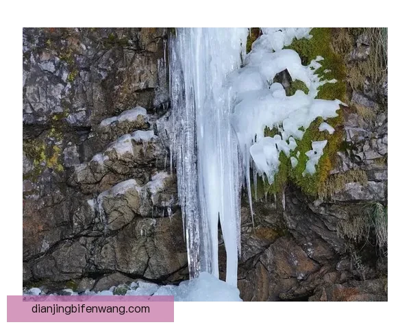 苔原112-93温莎快车探秘：穿越极寒之境，感受冰雪与历史的交织